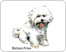  Bichon Frise Dog Air Freshener | My Air Freshener
